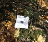 20120314210153-tan_232x205