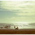 20120314210905-mostly_crap_311