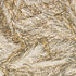 20120704173526-close_up_nest_