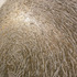 20120314223920-simona_petrauskaite_staple_art_straw