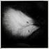20120314231333-img_1914