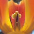20120315042349-divine_flairs-3