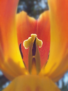 20120315042349-divine_flairs-3