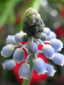 20120315043133-divine_flairs-19