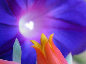 20120315043756-divine_flairs-40