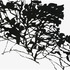20120319023842-05--31812