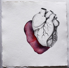 20120316112443-heart