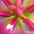 20120316170829-divine_flairs-21