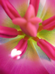 20120316170829-divine_flairs-21