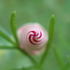 20120316171312-my_flairs_627