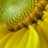 20120316171501-my_lovely_flairs_176