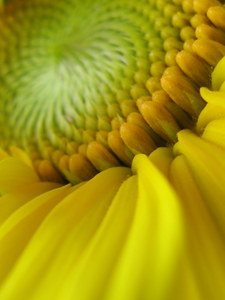 20120316171501-my_lovely_flairs_176