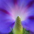 20120316171700-divine_flairs-50
