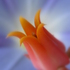 20120316175914-divine_flairs-26