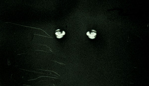 20120316192703-2012mfa1img00