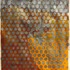 20120317003239-cfeesagomay2012b_1_1_