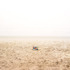 20120317005711-beach-photo