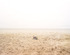 20120317005711-beach-photo