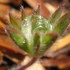 20120317183230-divine_flairs-44