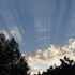 20120317183728-img_7881