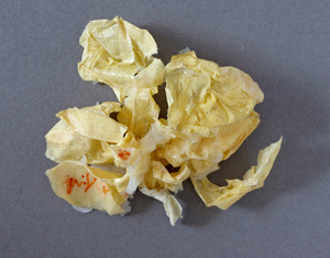 20120318120602-_mg_9847xweb1
