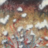20120318130435-01--31712