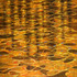 20120318172108-natural_occurrence_167_flow__acrylic_oil_and_alkyd_on_canvas