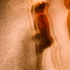 20120319020306-sol_hill_6_mannequin_number_l1067816