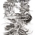 20120319174258-vertical_field_1