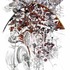 20120319174404-vertical_field_4