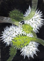 Eyebook 20,Barbara Blatt