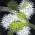 20120319180711-eyebook_20