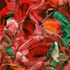 20120319183707-deep_sea_red