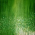 20120319212047-jardin_des_lys_2011__110_x_80_cm_reduced_px