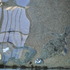 20120319225648-dsc_0548