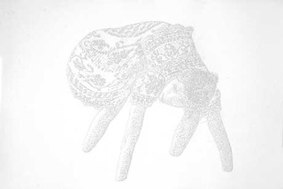 Untitled, from Oblivion Series (Four legs - after the mistake),Amparo Sard