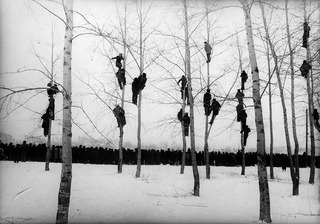  People in Trees (The Rooks Have Arrived),Mikola Gnisyuk