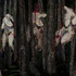 20120321132323-dryads