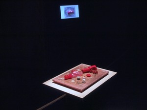 20120321151113-p1010091_