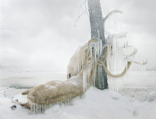 Untitled #159, from the series Until the Kingdom Comes,Simen Johan