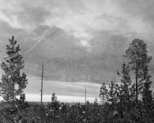Above and Below,Lydia Anne McCarthy