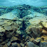 20120321190541-rapture_of_the_deep_2