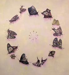 Collector,Aubrey Learner