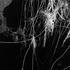 20120321195236-goldfarb_an-ongoing-conversation_01