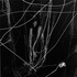 20120321203338-goldfarb_an-ongoing-conversation_15