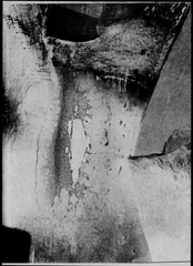1.1100 (rice paper)  ,Ari Marcopoulos