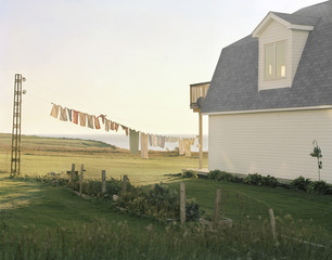 Laundry Line,Elizabeth Shrier
