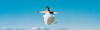 20120323012447-lightness