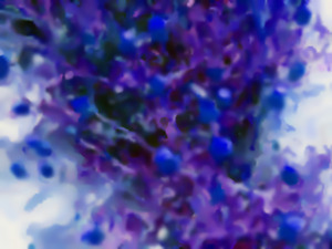 20120323153150-blueberryjam_lg