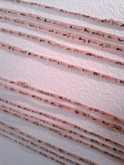 20120323163808-cyra_jane_image2